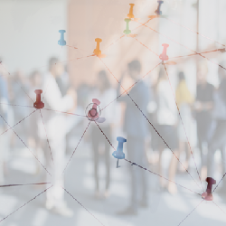  iStock / Getty Images Plus / piranka und anilakkus